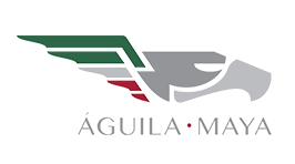 ?php echo get_bloginfo( 'name' ); ?>